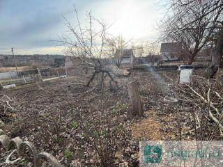 ������ ���� � �������� � ��������� ���, 2 �����, ������� 5 ����� ��������