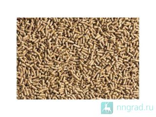 ��������������� ��������� ��� �������� ����� ������ ��������