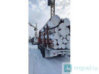 ����, �����������, ����� �����, ������� �� �������������. ������������ ����