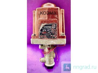 ������ ��������������������� ���-1/4 ������ ��������