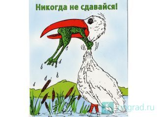 ������� � ��� � ������������ �������� ������ ��������