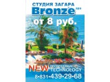  BRONZE spa