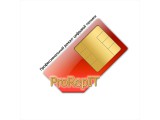  Service ProRepIT ::     