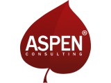  Aspen Consulting