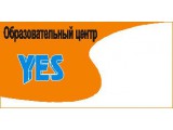    "YES"
