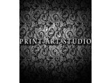  Print Art Studio