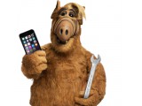  ALF-service