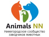  Animals NN