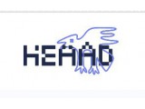  Heaad